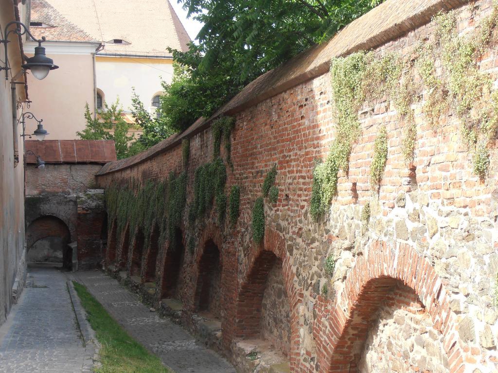 Gothic House Apartment Sibiu Ngoại thất bức ảnh